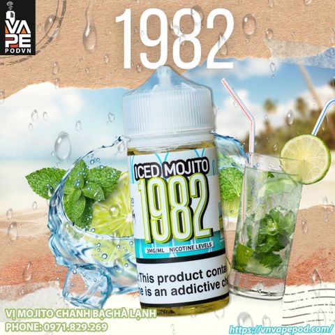 1982-iced-mojito-01_de2f296852e741ffad73794bd5a4238b_large.jpg