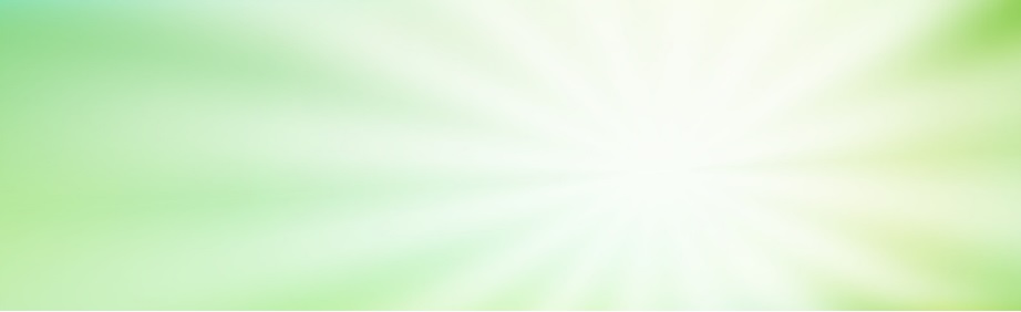 Xe nâng tay nhập khẩu