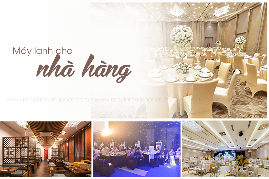 May-lanh-cho-NHA-HANG-1.png