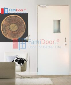 CỬA THÉP TCC.P1G1-9005